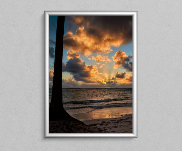 Artículo sin título